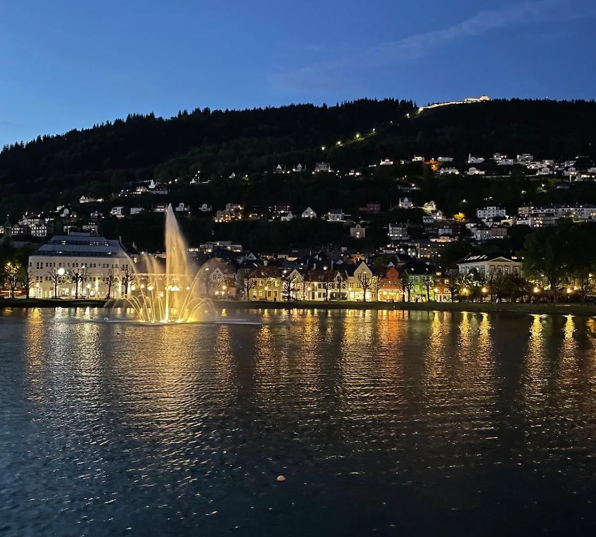 Appartement Private Room With A View And Garden - 12 Min From The City Center Bergen Norvège